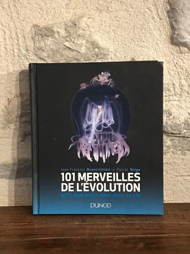 Livre 101 merveilles de - livre,