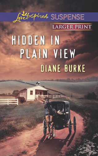 Hidden plain view love - hidden, in
